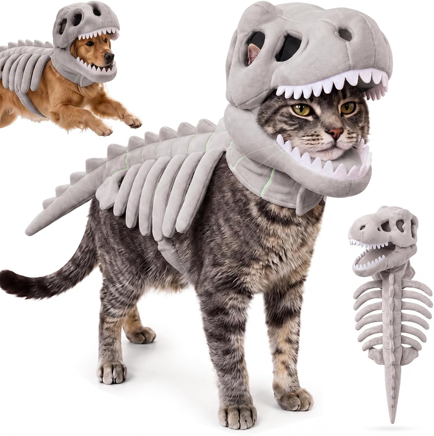 Spooky Dino Bones Pet Costume
