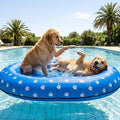 PawFloat – Inflatable Pool Float for Dogs