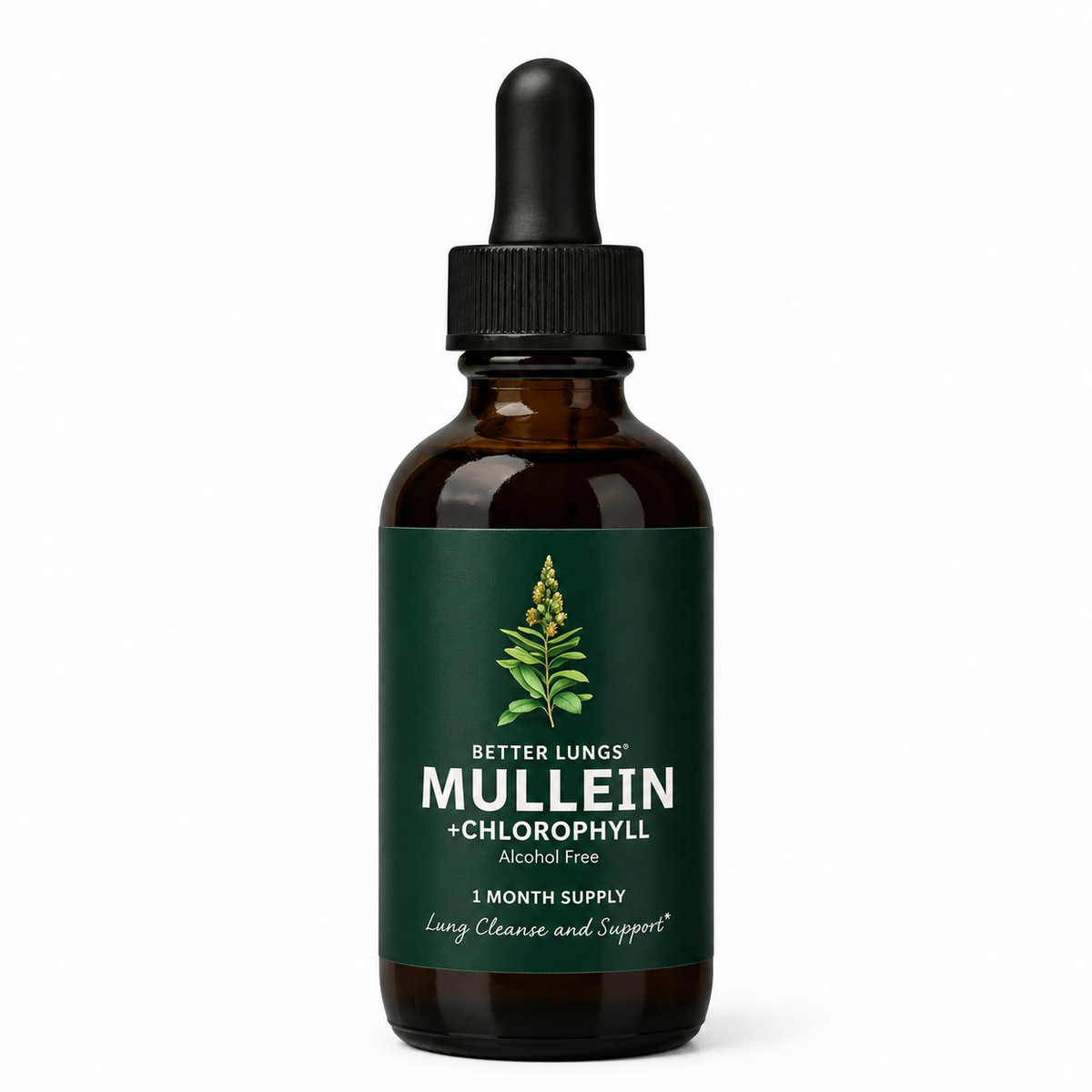 🌿 Mullein 100% ORIGINAL 🫁