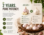 Odorless Garlic 7500mg Per Servings, 300 Softgels | 2 Years Aged Garlic Extra...