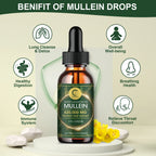Mullein Drops: Lung Cleanse & Immune Boost - Fast Respiratory Relief