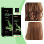 Hoegoa Rosemary Hair Growth & Thickening Shampoo Serenzza