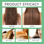 Hoegoa Rosemary Hair Shampoo Volumizing and Thickening Strengthening and Oil Control Nourishes and Repairs Hair Oil Adds Volume